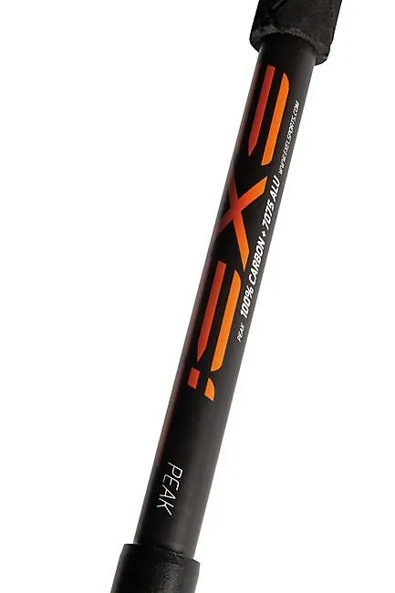 BATONS DE RANDONNEE PEAK CARBON 100