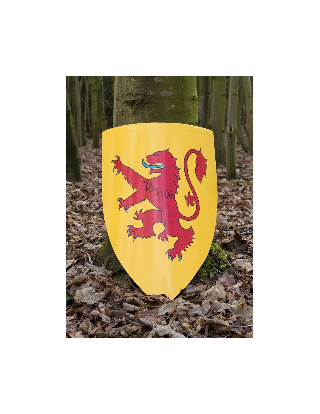 Bouclier médiéval Robert Ier d'Ecosse, bois peint ⚔️ Boutique Épées
