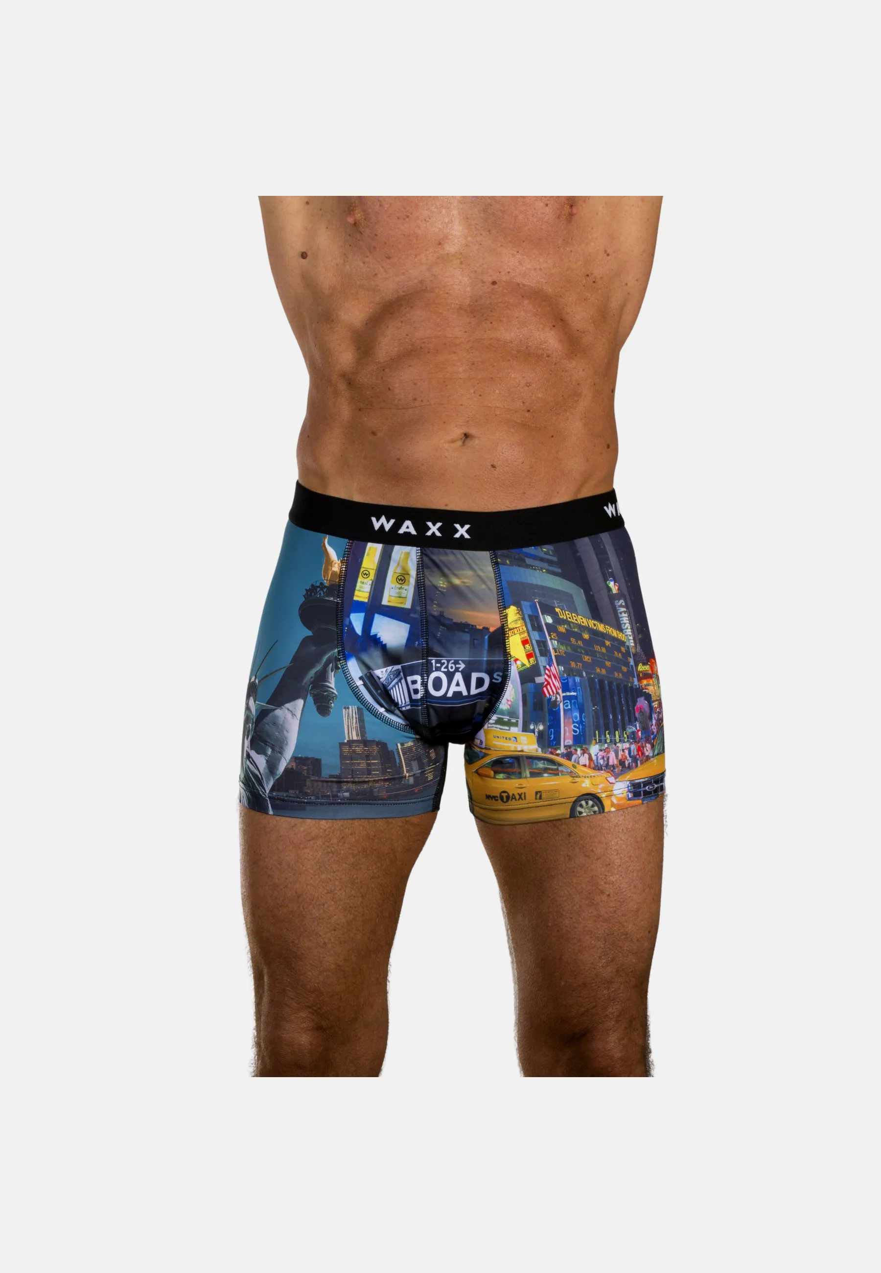 Boxer NEW YORK