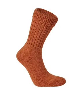 Chaussettes de randonnée laugton femme bordeaux Craghoppers