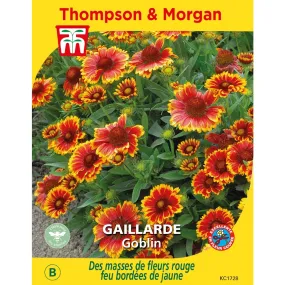 Graines de Gaillarde Goblin