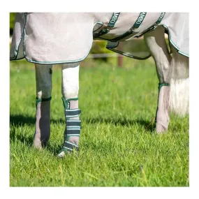 Horseware RAMBO - Guêtres anti-mouches oatmeal/sage