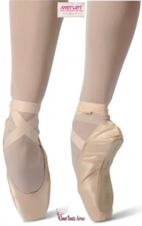 POINTES DANSE MERLET PULSION