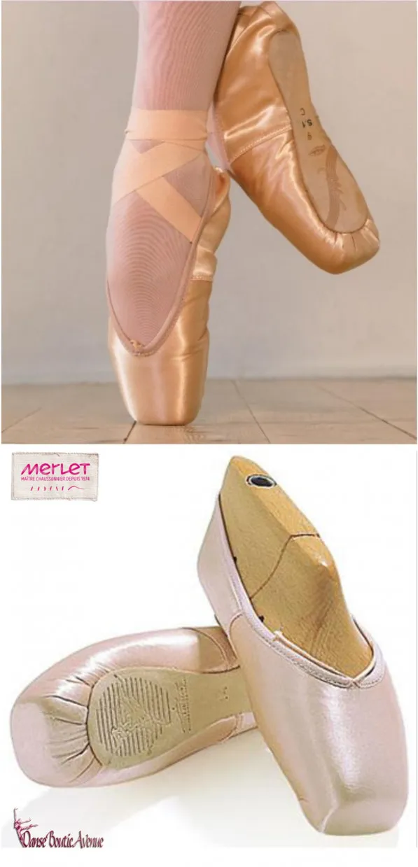 POINTES DANSE MERLET PULSION